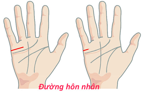 Tự xem số phận qua bàn tay: Đường hôn nhân và đường sinh lý - 1