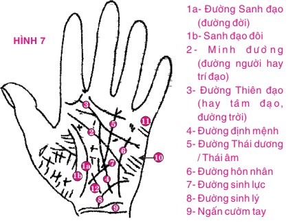 Tự xem số phận qua bàn tay: Đường hôn nhân và đường sinh lý - 3