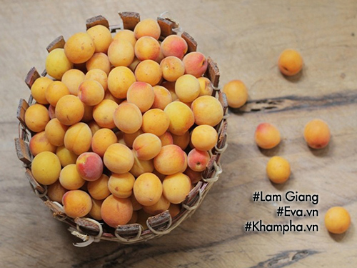 Vào mùa, làm mứt mơ thơm ngọt ngay kẻo muộn - 1