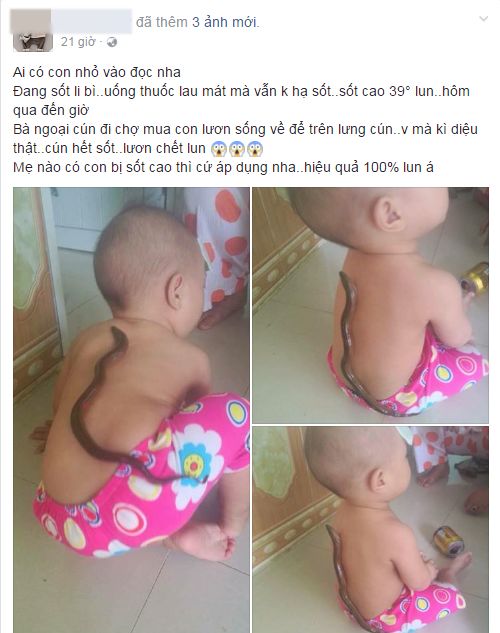 Thực hư hiệu quả việc hạ sốt nhanh cho trẻ bằng... lươn sống - 1