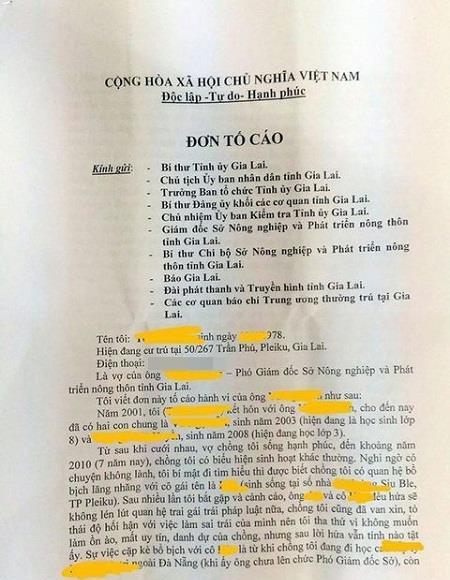 Phó giám đốc sở cho rằng vợ dựng chuyện ngoại tình bôi xấu chồng - 1