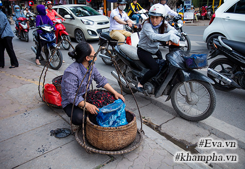 Mùa dâu tằm về chọn quả ngon ngâm nước uống thôi! - 11