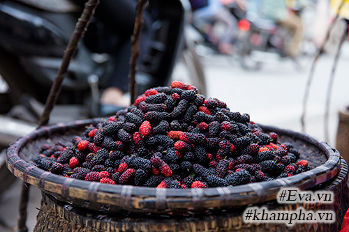 Mùa dâu tằm về chọn quả ngon ngâm nước uống thôi! - 10