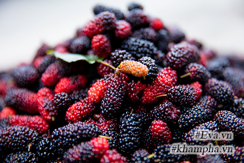 Mùa dâu tằm về chọn quả ngon ngâm nước uống thôi! - 14