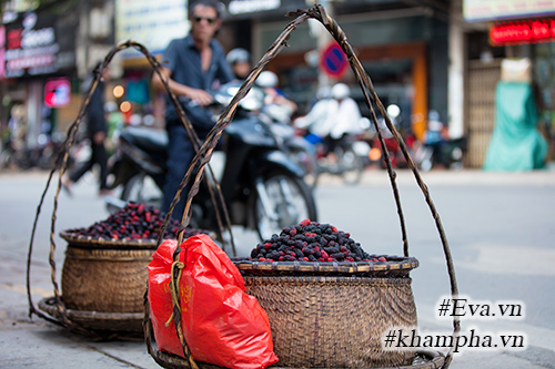 Mùa dâu tằm về chọn quả ngon ngâm nước uống thôi! - 4