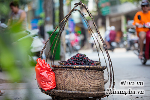 Mùa dâu tằm về chọn quả ngon ngâm nước uống thôi! - 13