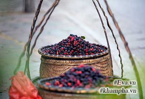 Mùa dâu tằm về chọn quả ngon ngâm nước uống thôi! - 5