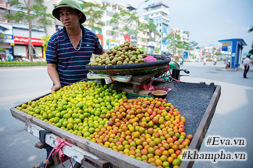 Mận đầu mùa giá đắt gấp 3 vẫn được ưa chuộng - 2