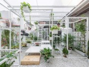 Nhà đẹp - Mê mẩn khoảng vườn 18m2 giữa Thủ đô ngập tràn cây "hút độc", báo ngoại khen hết lời