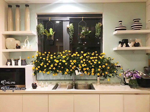 amp;#34;Vườn hồngamp;#34; đẹp mê hồn trên cửa sổ nhà bếp của mẹ Hà Thành 20 năm đi chợ amp;#34;sănamp;#34; hoa - 2
