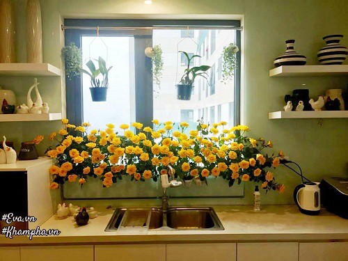 amp;#34;Vườn hồngamp;#34; đẹp mê hồn trên cửa sổ nhà bếp của mẹ Hà Thành 20 năm đi chợ amp;#34;sănamp;#34; hoa - 3