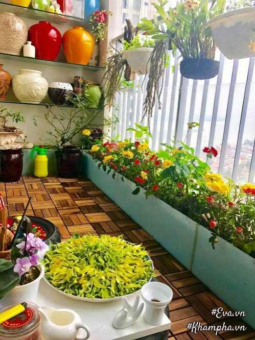 amp;#34;Vườn hồngamp;#34; đẹp mê hồn trên cửa sổ nhà bếp của mẹ Hà Thành 20 năm đi chợ amp;#34;sănamp;#34; hoa - 12