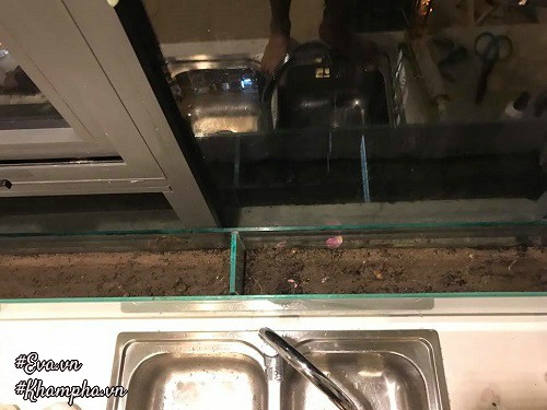 amp;#34;Vườn hồngamp;#34; đẹp mê hồn trên cửa sổ nhà bếp của mẹ Hà Thành 20 năm đi chợ amp;#34;sănamp;#34; hoa - 8