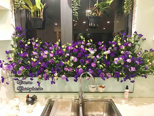 amp;#34;Vườn hồngamp;#34; đẹp mê hồn trên cửa sổ nhà bếp của mẹ Hà Thành 20 năm đi chợ amp;#34;sănamp;#34; hoa - 10