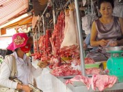 Mua sắm - Giá cả - Nông dân vừa bán heo vừa khóc