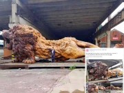 Nhà đẹp - Sự thật ngỡ ngàng đằng sau bức tượng sư tử gỗ khổng lồ đang "nổi như cồn" trên MXH