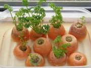 Nhà đẹp - Tội gì không "tái sinh" rau củ quả để ăn cả năm không hết chỉ từ phần thân bỏ đi trong bếp