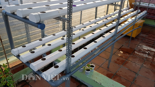 Chi tiết cách làm vườn rau thủy canh amp;#34;vạn người mêamp;#34; của ông bố Nha Trang - 11