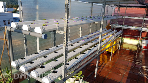 Chi tiết cách làm vườn rau thủy canh amp;#34;vạn người mêamp;#34; của ông bố Nha Trang - 12