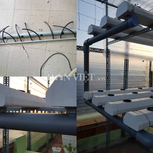 Chi tiết cách làm vườn rau thủy canh amp;#34;vạn người mêamp;#34; của ông bố Nha Trang - 9