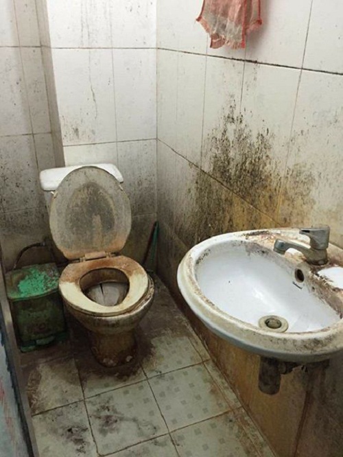 Bức ảnh gây tranh cãi nhất: Đây là nhà vệ sinh amp;#34;bỏ hoangamp;#34; hay vẫn còn dùng? - 1