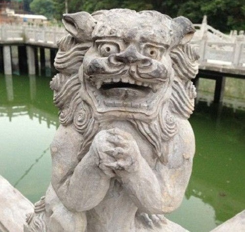 Cười đau bụng với bộ sưu tập sư tử amp;#34;ngáo đáamp;#34; lầy lội nhất quả đất - 17