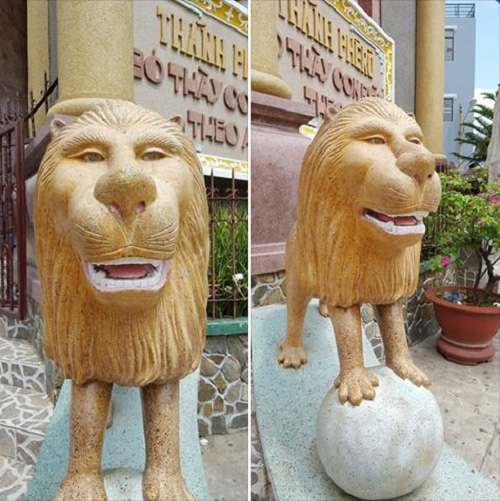 Cười đau bụng với bộ sưu tập sư tử amp;#34;ngáo đáamp;#34; lầy lội nhất quả đất - 4