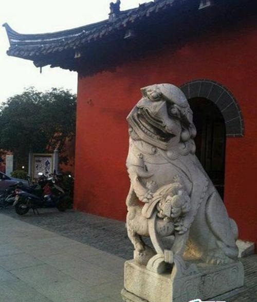 Cười đau bụng với bộ sưu tập sư tử amp;#34;ngáo đáamp;#34; lầy lội nhất quả đất - 8