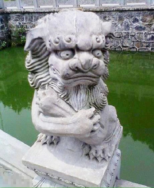 Cười đau bụng với bộ sưu tập sư tử amp;#34;ngáo đáamp;#34; lầy lội nhất quả đất - 11