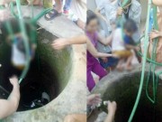 Tin tức - Thót tim với màn giải cứu bé trai rơi xuống giếng sâu