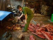 Mua sắm - Giá cả - Hà Nội: Buộc tiêu hủy hơn 2.000 kg thực phẩm “bẩn”