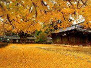 Ảnh đẹp Eva - Muốn đi du lịch nước ngoài mà tốn ít tiền, dễ làm thủ tục? Hãy đến ngay 6 địa điểm này!