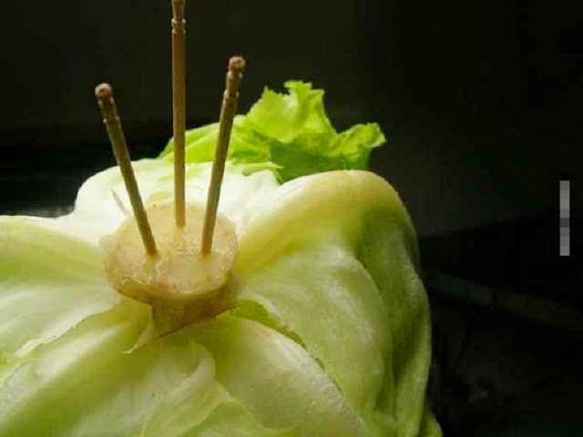 Thấy con dâu rảnh cắm tăm vào cuống xà lách, mẹ chồng mắng sấp mặt nhưng ai ngờ