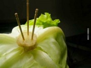 Nhà đẹp - Thấy con dâu "rảnh" cắm tăm vào cuống xà lách, mẹ chồng mắng "sấp mặt" nhưng ai ngờ