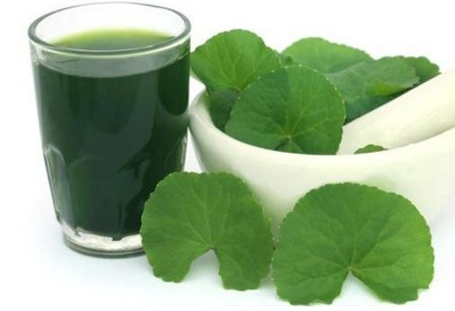 Tác dụng đáng sợ của rau má nhiều người chưa biết - 1