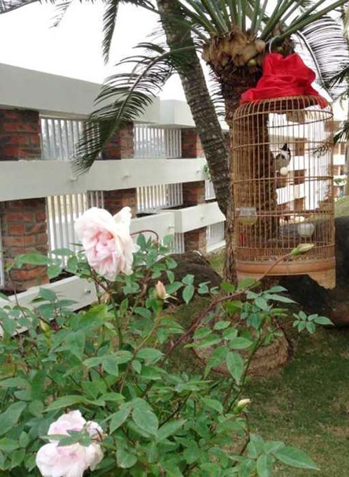 Hát nhạc đỏ nhưng Trọng Tấn, Việt Hoàn có cuộc sống amp;#34;giàu sụamp;#34;, đáng mơ ước - 3