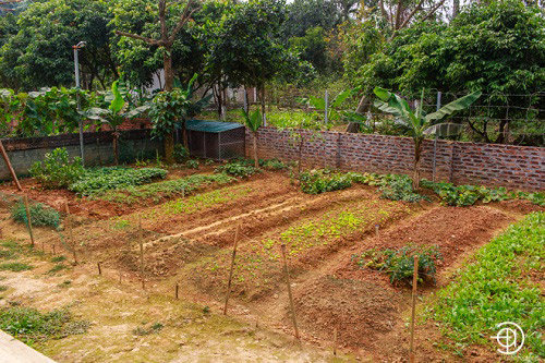 Hát nhạc đỏ nhưng Trọng Tấn, Việt Hoàn có cuộc sống amp;#34;giàu sụamp;#34;, đáng mơ ước - 12