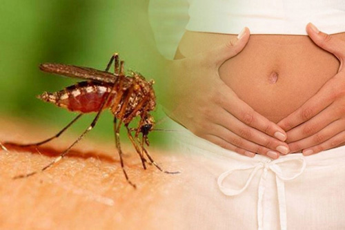 TP.HCM ghi nhận 51 thai phụ nhiễm virus Zika - 1