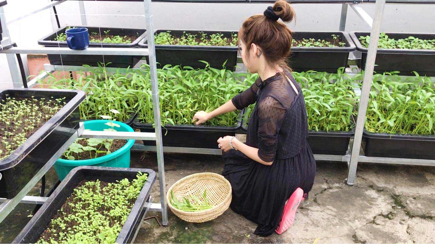 Vườn rau sạch amp;#34;vạn người mêamp;#34; của ba người đẹp amp;#34;nóng bỏngamp;#34; nhất showbiz Việt - 3