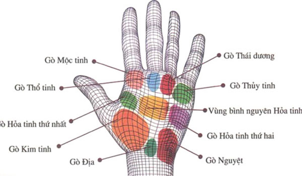 Tự xem số phận qua bàn tay: 9 gò trong lòng bàn tay - 2