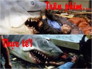 Xem & Đọc - Những cảnh tưởng chừng kinh dị nhất đã diễn ra thế này!