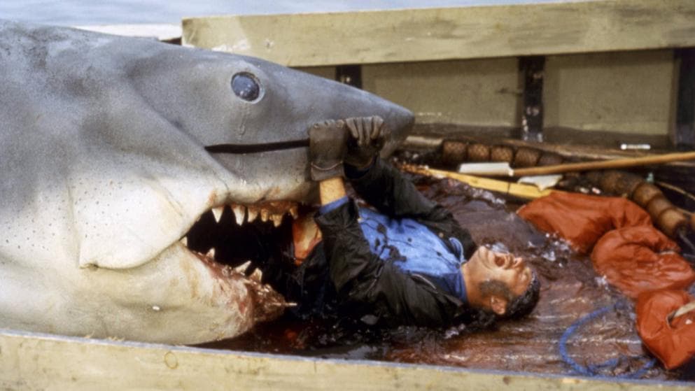 Những cảnh tưởng chừng kinh dị nhất đã diễn ra thế này! - 9