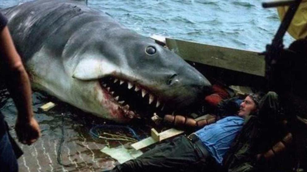 Những cảnh tưởng chừng kinh dị nhất đã diễn ra thế này! - 10