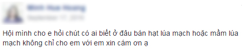 Chị em đua nhau trồng mầm lúa mạch giúp chống lão hóa, ung thư - 1