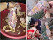 Bếp Eva - Hãi hùng với màn nhổ lông vịt của "gái đảm" khi bị ép vào bếp