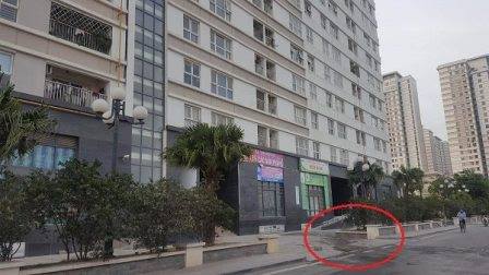 Người phụ nữ tử vong nghi rơi từ tầng 5 chung cư xuống đất - 1