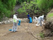 Mua sắm - Giá cả - Đăk Lăk: Hơn 3.100 con gia cầm bị chết, tiêu hủy vì cúm A/H5N1