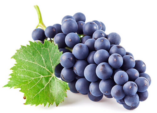 5 loại rau quả chống ung thư - 2