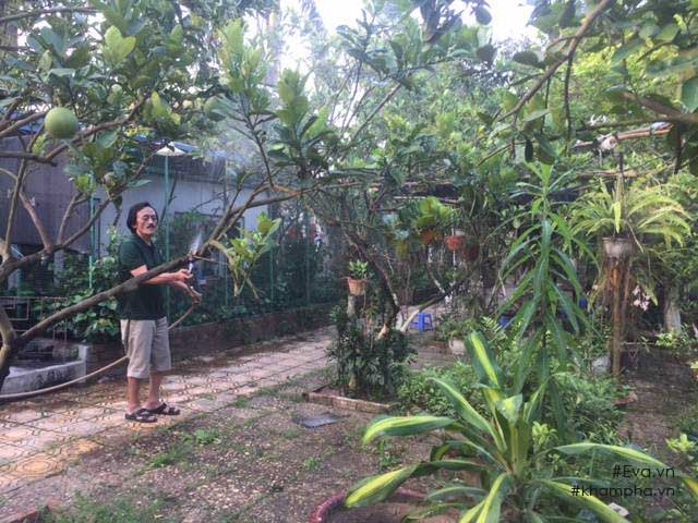Chiêm ngưỡng nhà vườn 10.000m2 mà Giang “còi” quyết không bán để mua chung cư nội đô - 14