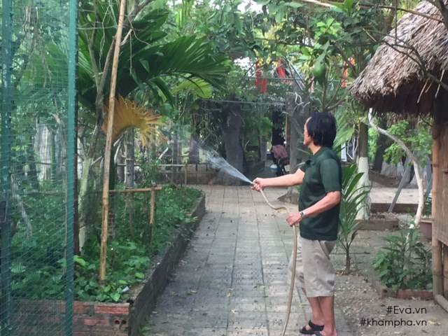 Chiêm ngưỡng nhà vườn 10.000m2 mà Giang “còi” quyết không bán để mua chung cư nội đô - 9